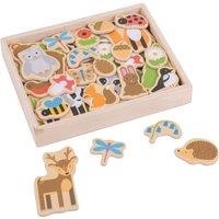 Bigjigs Toys 35pc Wooden Woodland Magnets
