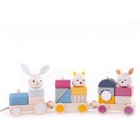 Bigjigs Toys Activity Pull Along Train Toy