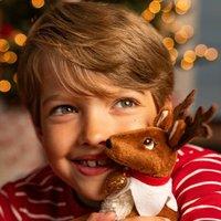 The Elf On The Shelf Elf Pets A Reindeer Tradition