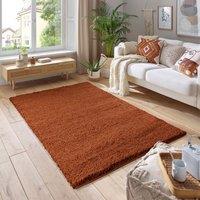 Smart Living Soft Fluffy 5cm Thick Pile Shaggy Area Rugs for Living Room, Bedroom in Terracotta | Size: 60 cm x 110 cm