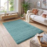 Smart Living Soft Fluffy 5cm Thick Pile Shaggy Area Rugs for Living Room, Bedroom in Duck Egg Blue | Size: 60 cm x 110 cm