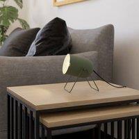 Eglo Tilston Steel Minimalist Desk Lamp, Green
