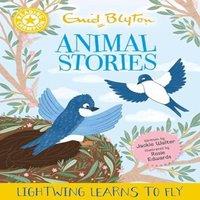 Jackie Walter Reading Champion: Enid Blyton Animal Stories: Lightwing Learns to