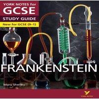 Mary Shelley Frankenstein York Notes GCSE English Literature Study Guide - for