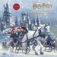 Insight Editions Harry Potter: A Hogwarts Christmas Pop-Up Hardback Book