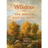 Boxer Gifts Wisdom From the Hidden Life of Trees