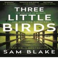 Sam Blake Three Little Birds : 'The modern-day Agatha Christie' Steve