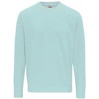 AWDis Women's Just Hoods Crew Neck Plain Sweatshirt (280 GSM) in Mint | Size: Small