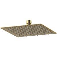 Balterley Square Fixed Head Brushed Brass 200mm in Metallics