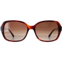 Kate Spade Women's Buttefly Havana Brown Gradient Polarized Yvette/S
