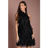 Coast Women's Lace Frill Mini Dress in Black | Size: 18