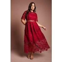 Coast Women's Plus Short Sleeve Lace Midi Dress in Berry | Size: 20