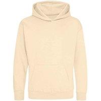 AWDis Hooded Sweatshirt Hoodie in Aqua | Size: 12-13 Years