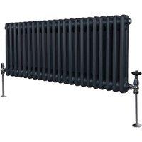 Monstershop Traditional 2 Column Radiator - 300 x 1012mm - Anthracite Grey