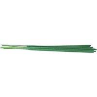 Something Different Balsam Fir Incense Sticks (Pack of 540) in Green