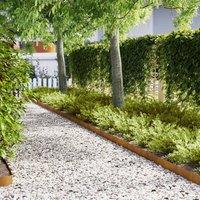 Berkfield Home Lawn Edgings 20 pcs 100x0, 5x15 cm Weathering Steel in Brown