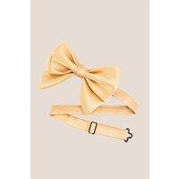 Oswin Hyde Men's Champagne Retro Bowtie in Gold