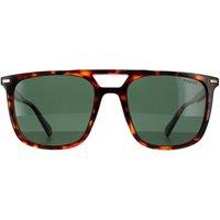 Polaroid Men's Rectangle Dark Havana Green Polarized Sunglasses in Brown