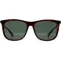 Polaroid Men's Square Havana Green Polarized PLD 6103/S/X in Brown