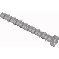 Forgefix Lightning Bolts Hex Head M10 X 60Mm Bag 10 in Silver
