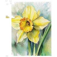 Warren Reed - Designer Watercolour Daffodil Jigsaw Puzzle | Size: 1000 Pieces