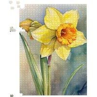 Warren Reed - Designer Daffodil Watercolour Jigsaw Puzzle | Size: 500 Piece
