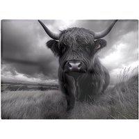 Warren Reed - Designer Black & White Highland Cow Glass Chopping Board in Grey
