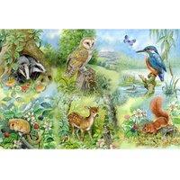 The House Of Puzzles Nature Study, BIG 250 Piece Jigsaw Puzzle
