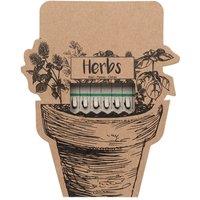 MidOcean Leyti Herb Seeds in Beige