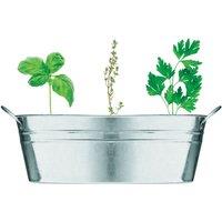 MidOcean Herb Seeds Plant Pot in Silver