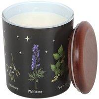 Something Different Deadly Nightshade Scented Candle in Black