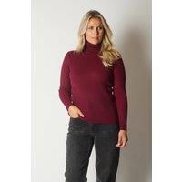 SOLO Women's Ribbed Knit Roll Neck Jumper in Wine | Size: 12
