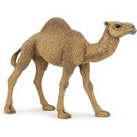 Papo Wild Animal Kingdom Dromedary Toy Figure (50151)