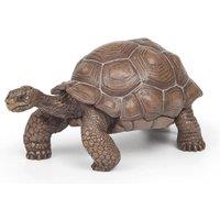 Papo Wild Animal Kingdom Galapagos Tortoise Toy Figure, Three Years or Above, Green (50161)