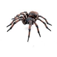Papo Wild Life in the Garden Common Spider Toy Figure, Three Years & Above, Brown/Orange (50292)
