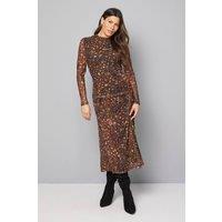 Wallis Women's Animal Print Mesh High Neck Top in Chocolate | Size: 18