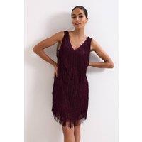 Phase Eight Women's Meryl Fringe Dress in Wine | Size: 14