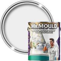 MR MOULD Anti-Mould Paint - 1L - Best Anti Mould Protection Paint for all Interior Walls & Ceilings in Light Grey