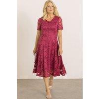 Anna Rose Women's Stretch Lace Dress in Dark Red | Size: 10