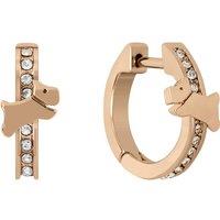 Radley Women's RYJ1290S Pair Of Earrings in Rose Gold