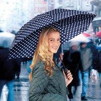 Coopers of Stortford Women's Windproof Folding Umbrella with Vented Canopy & Grip Handle in Mid Navy