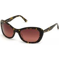 Web Eyewear Women's WE0289-5652F Sunglasses in Brown