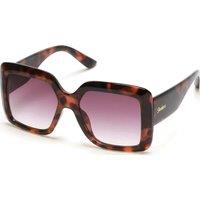 Skechers Women's SE6222-5552F Square/Rectangle Sunglasses in Purple