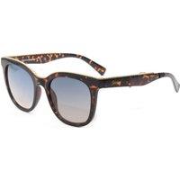 Skechers Women's SE6231-5252W Wayfarer Sunglasses in Blue