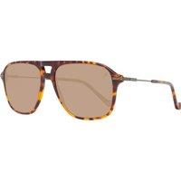 Hackett Men's HSB86512756 Sunglasses in Brown