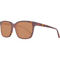 Helly Hansen Men's HH5003-C01-55 Sunglasses in Brown