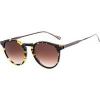 Belstaff BROOKLAND-S035 Panthos (Tea Cup) Sunglasses in Brown