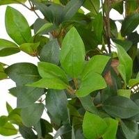 Berkfield Home Artificial Plant Laurel Tree with Pot Green 150 cm