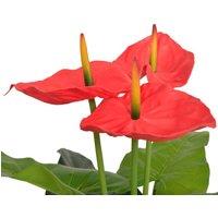 Berkfield Home Artificial Anthurium Plant with Pot 90 cm Red & Yellow