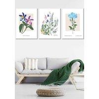 ARTZE Set of 3 White Framed Vintage Graphical Colourful Wild Flower Market Wall Art | Size: W33 cm x H45 cm x D20mm